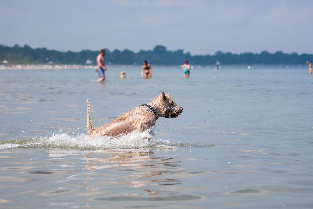 Zur Alten Schmiede I Boltenhagen  Zewnętrze zdjęcie